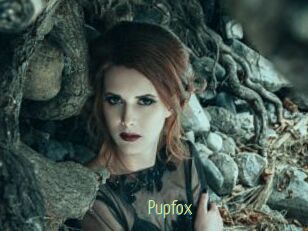 Pupfox
