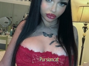 Pursiancat