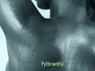 Pytbrwn69