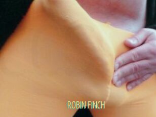 ROBIN_FINCH