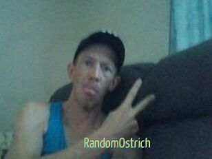 RandomOstrich