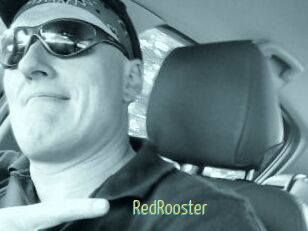 RedRooster