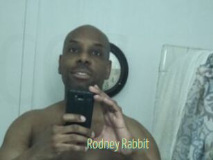 Rodney_Rabbit