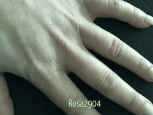 Rosa2904