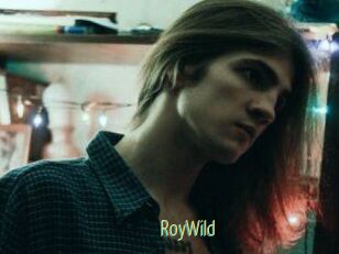RoyWild