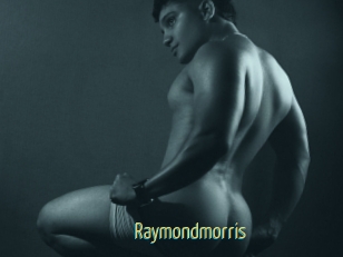 raymondmorris Chaturbate Cam Sexe