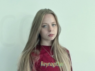 Reynagitter