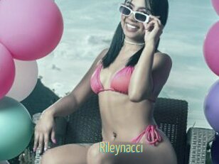 Rileynacci