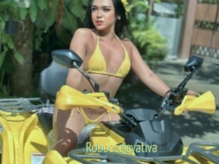 Robeccalavativa