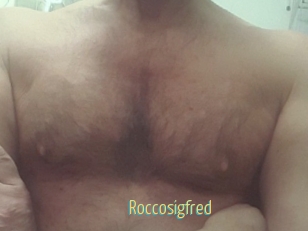 Roccosigfred