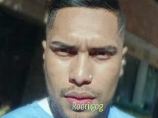 Rodriigog