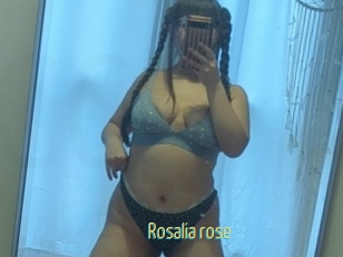 Rosalia_rose