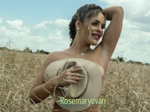 rosemaryevan Chaturbate Cam Sexe