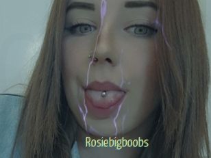 Rosiebigboobs