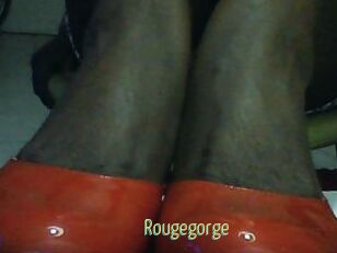 Rougegorge