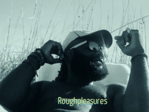 Roughpleasures