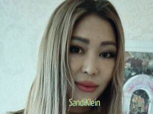 SandiKlein