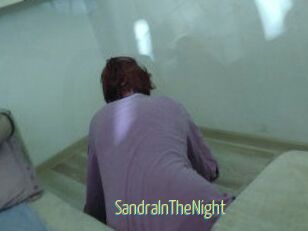 SandraInTheNight