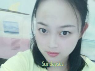 Scindapsus