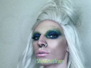 SheilaHotTrans