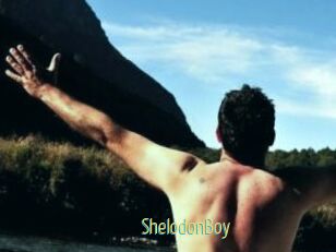 ShelodonBoy