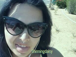 Shinningdaisy