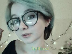 Shy_Mimosa