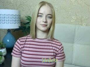 SilinBekk