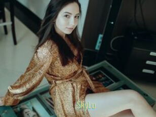 SkyLu