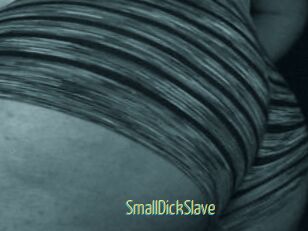 SmallDickSlave
