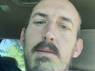 Snakec2018