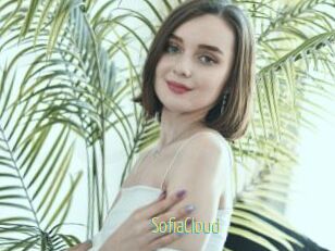 SofiaCloud