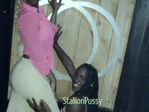 StallionPussy