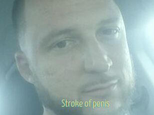Stroke_of_penis