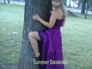 Summer_Dandelion