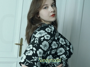 Sandymodel