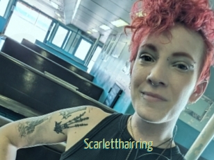 Scarletthairring