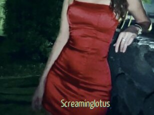Screaminglotus