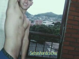 Sebashardcockx