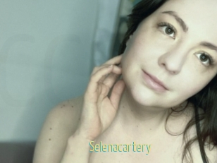 Selenacartery