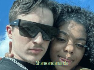 Shaneandananda
