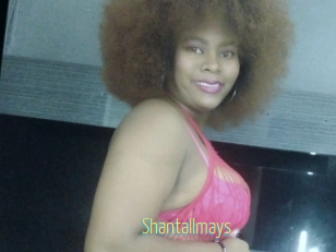 Shantallmays