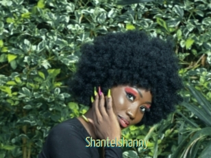 Shantelshanny