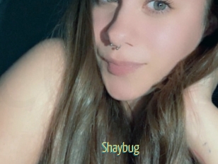 Shaybug