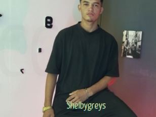 Shelbygreys