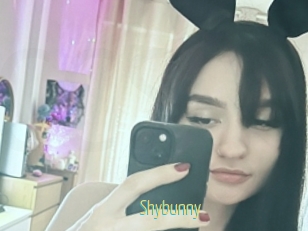 Shybunny