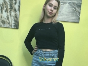 Sibleyarnet
