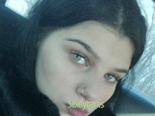 Sibleybarns