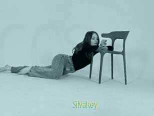 Silvakey