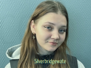 Silverbridgewate